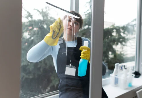 Nettoyage de vitres intérieures et extérieures à Roiffé